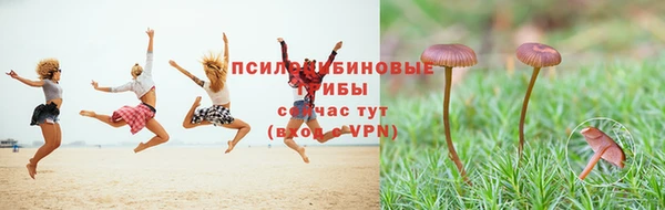apvp Слюдянка