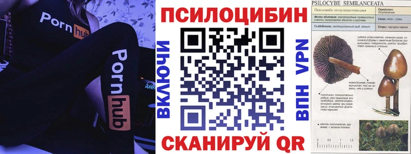 закладки  кракен ССЫЛКА  Псилоцибиновые грибы прущие грибы  Хотьково 